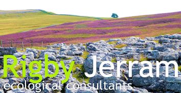 Ecological consultancy based in Kendal, Cumbria, UK